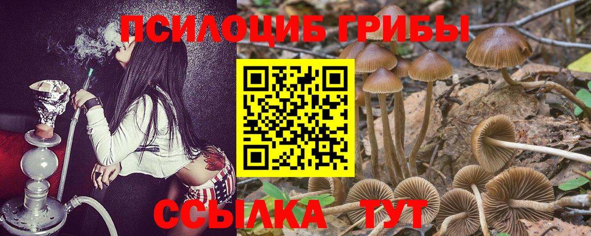 Галлюциногенные грибы Cubensis  Вход с VPN  Дубна  Галлюциногенные грибы GOLDEN TEACHER 